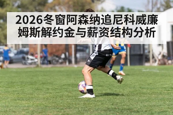 2026冬窗阿森纳追尼科威廉姆斯解约金与薪资结构分析
