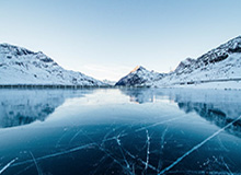 世界杯实时比分-高管球探队友无死角剖析 三球鲍尔到底行不行？